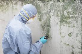 Best Residential Mold Inspection & Testing  in Westlake Village, CA